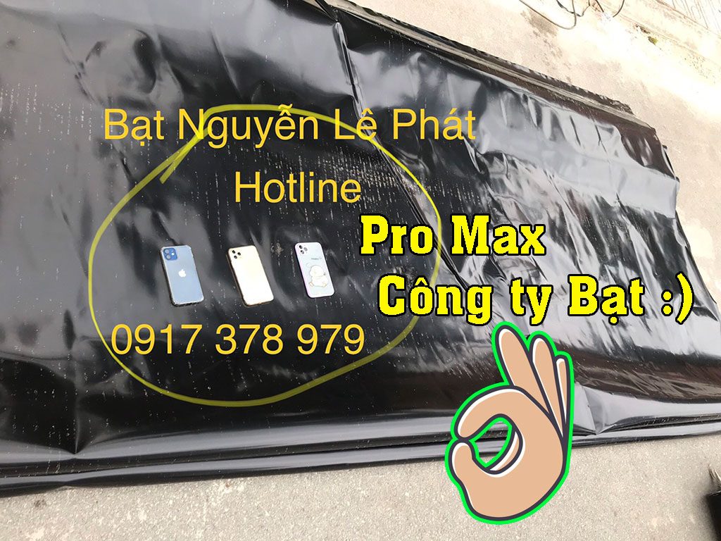 Thay bạt mái hiên di động