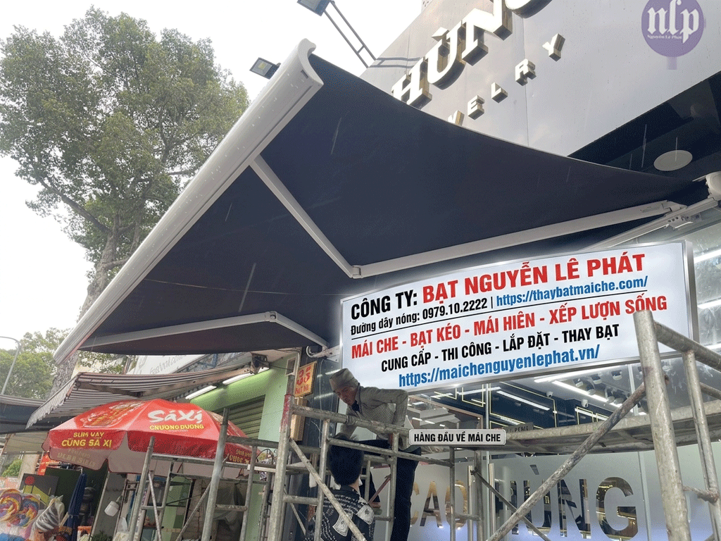 batnguyenlephat-(33)