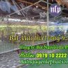 Bạt che nắng trong suốt